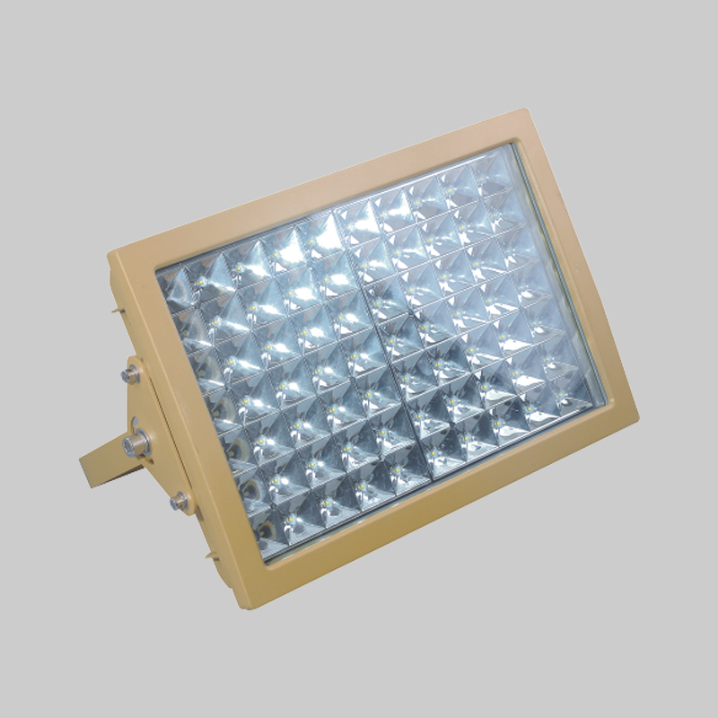 RDB98-97防爆免维护节能投光灯/泛光灯(LED)