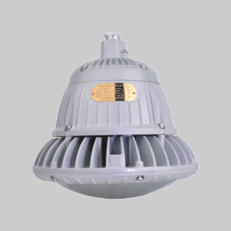 RDB98-F防爆免维护节能灯(LED)