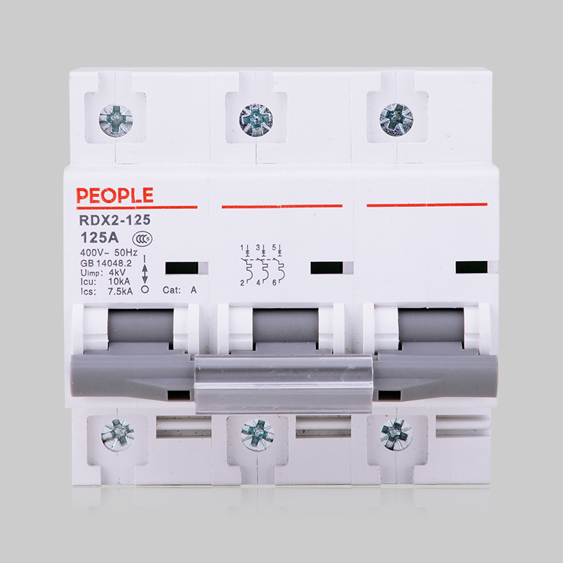人民电器RDX2-125高分断小型断路器 