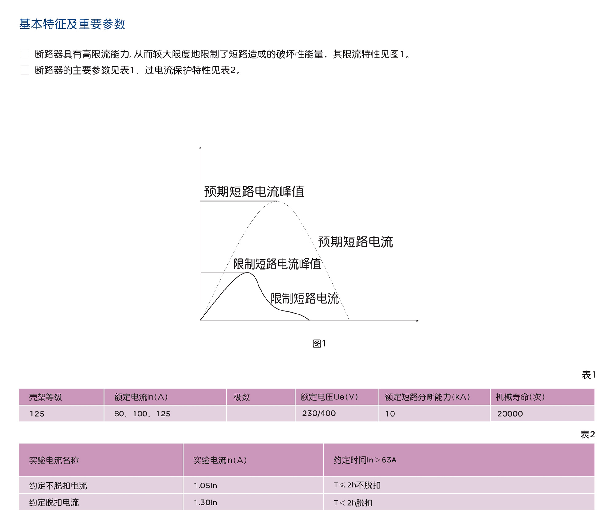 人民电器RDB5-125H系列小型断路器 