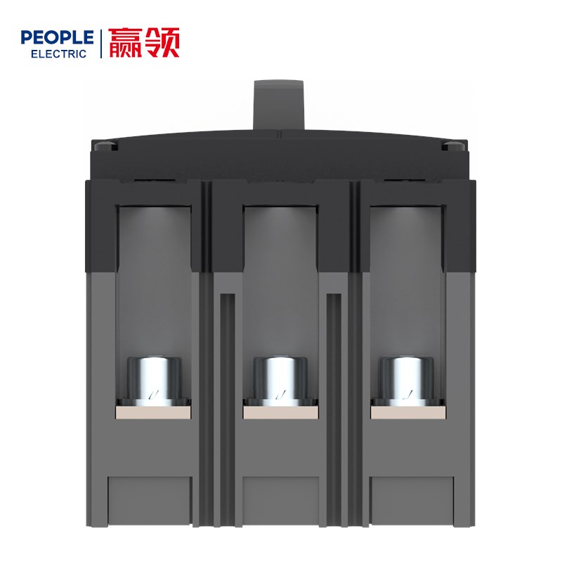 人民电器RDM5系列塑料外壳式断路器 
