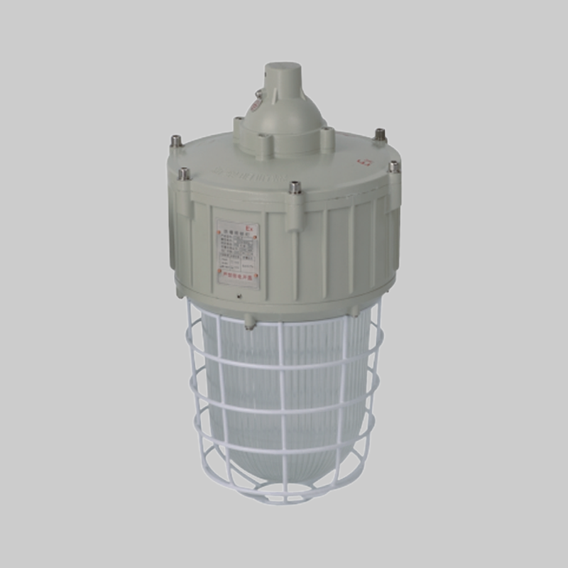 人民电器RDB82-G防爆灯(LED) 
