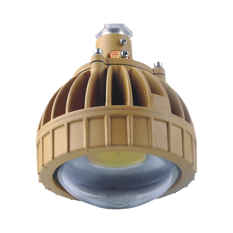 RDB98-8650防爆免维护节能灯(LED)