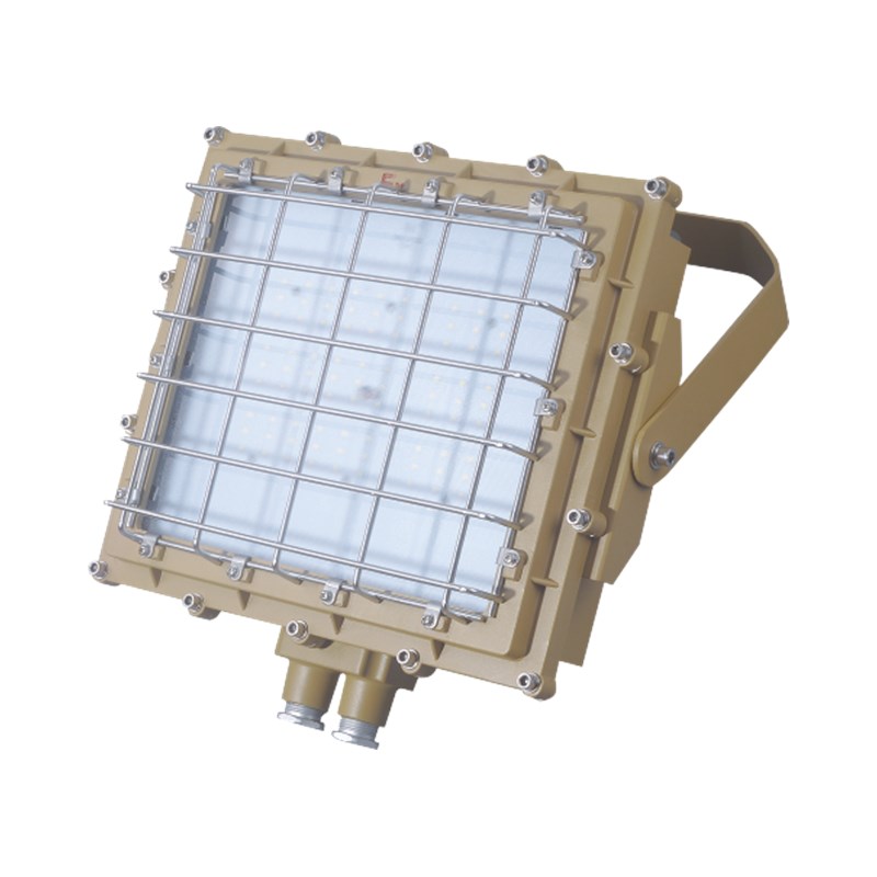 RDB98-8669防爆免维护投光灯/泛光灯(LED)