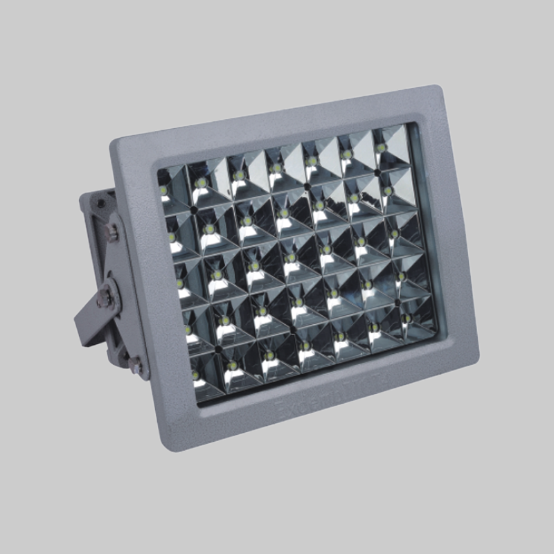 人民电器RDB98-98防爆免维护节能灯(LED)
