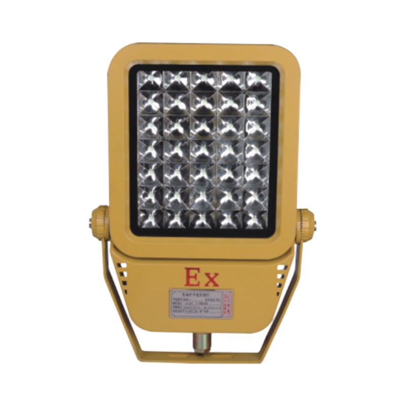 RDB98-MZ型防爆免维护节能灯(LED)