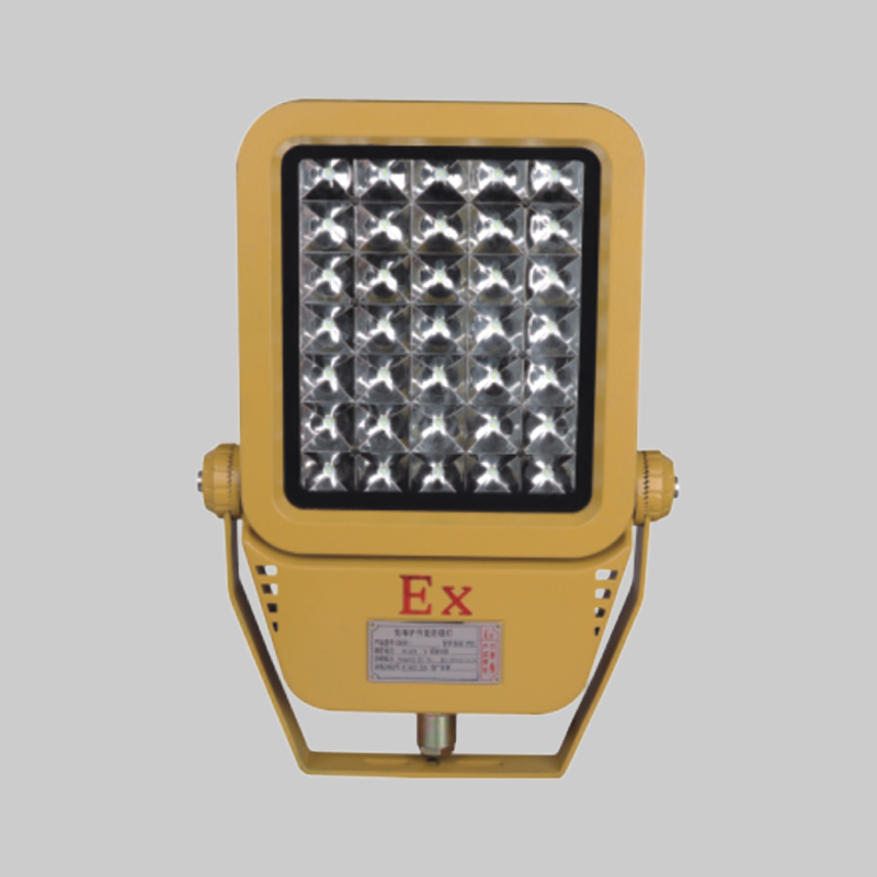 RDB98-MZ型防爆免維護節能燈(LED)