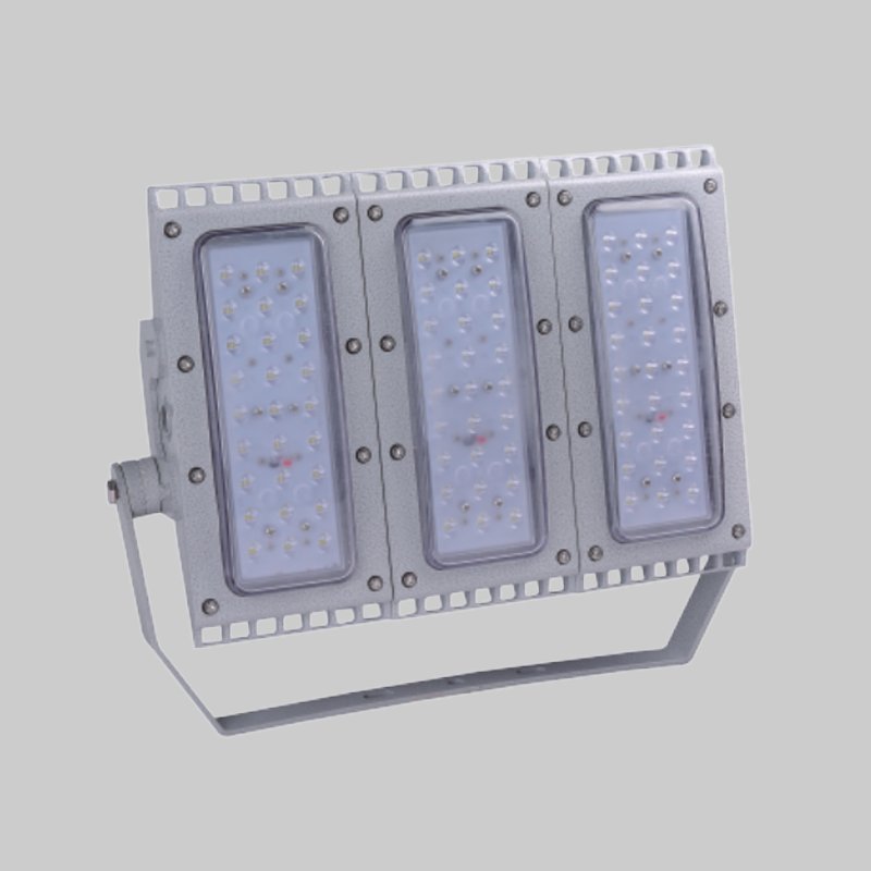 人民电器RDB98-P防爆免维护节能灯(LED)