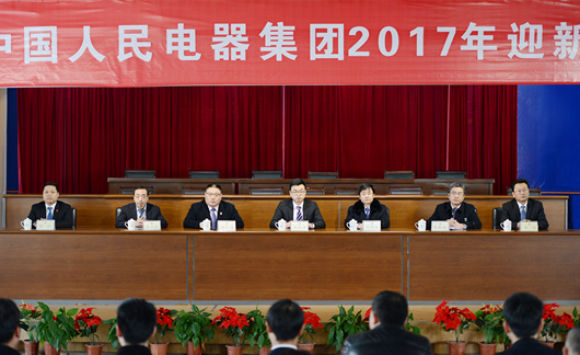 人民電器,人民電器集團(tuán),中國人民電器集團(tuán)