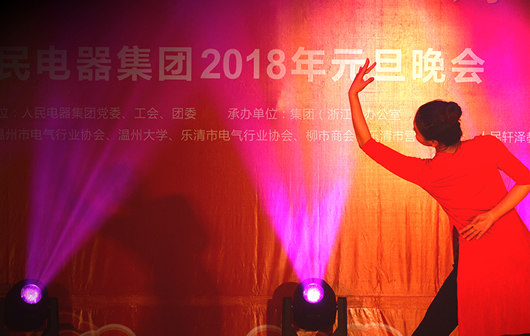 人民電器,人民電器集團(tuán),中國人民電器集團(tuán)