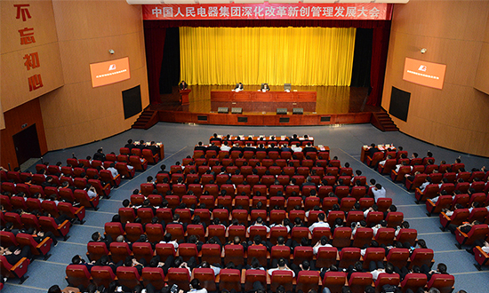 人民電器,人民電器集團,中國人民電器集團