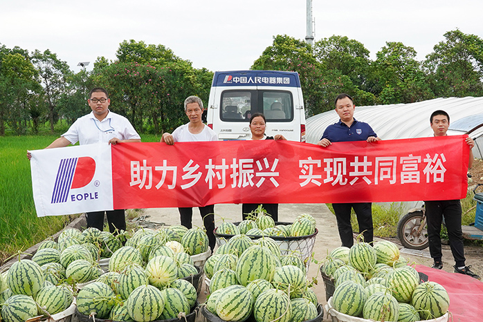 人民電器,人民電器集團(tuán),中國(guó)人民電器集團(tuán)