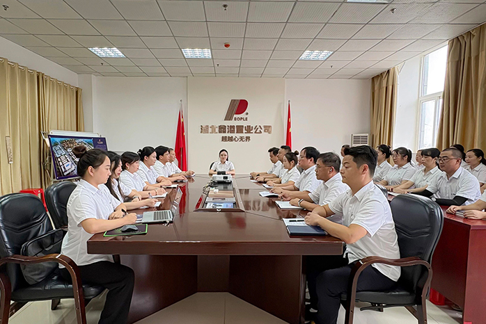 人民电器,人民电器集团,中国人民电器集团